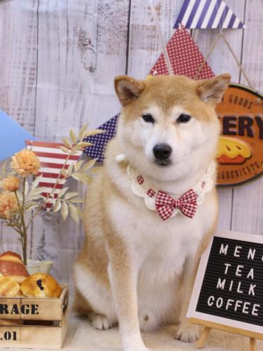 20240904平太くん